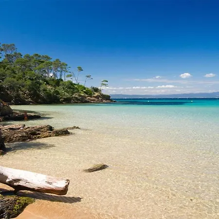 Maisonnette Climatisee A 35m De La Plage De La Capte Ferienhaus Hyères
