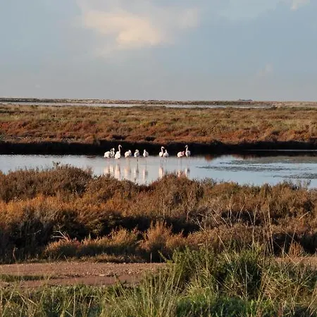 Сasa de vacaciones Maisonnette Climatisee A 35m De La Plage De La Capte Hyères