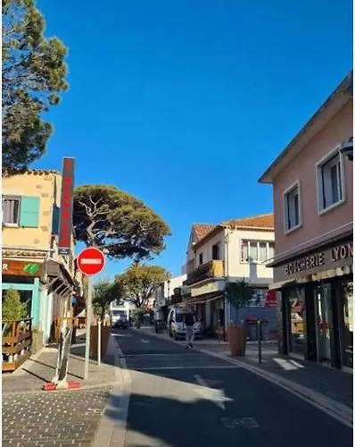 Maisonnette Climatisee A 35m De La Plage De La Capte Hyères