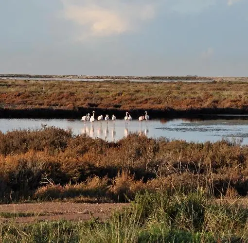 Casa vacanze Maisonnette Climatisee A 35m De La Plage De La Capte Hyères